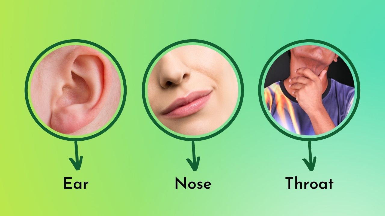ears-nose-and-throat-otolaryngology