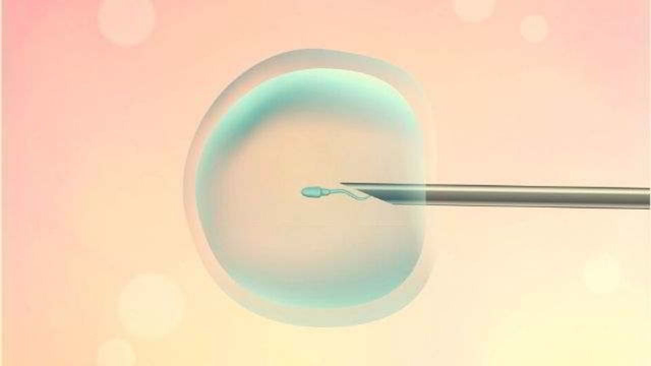 intracytoplasmic-sperm-injection-icsi