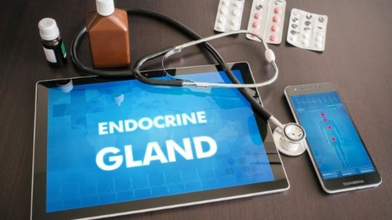 gynaecological-endocrine-disorders