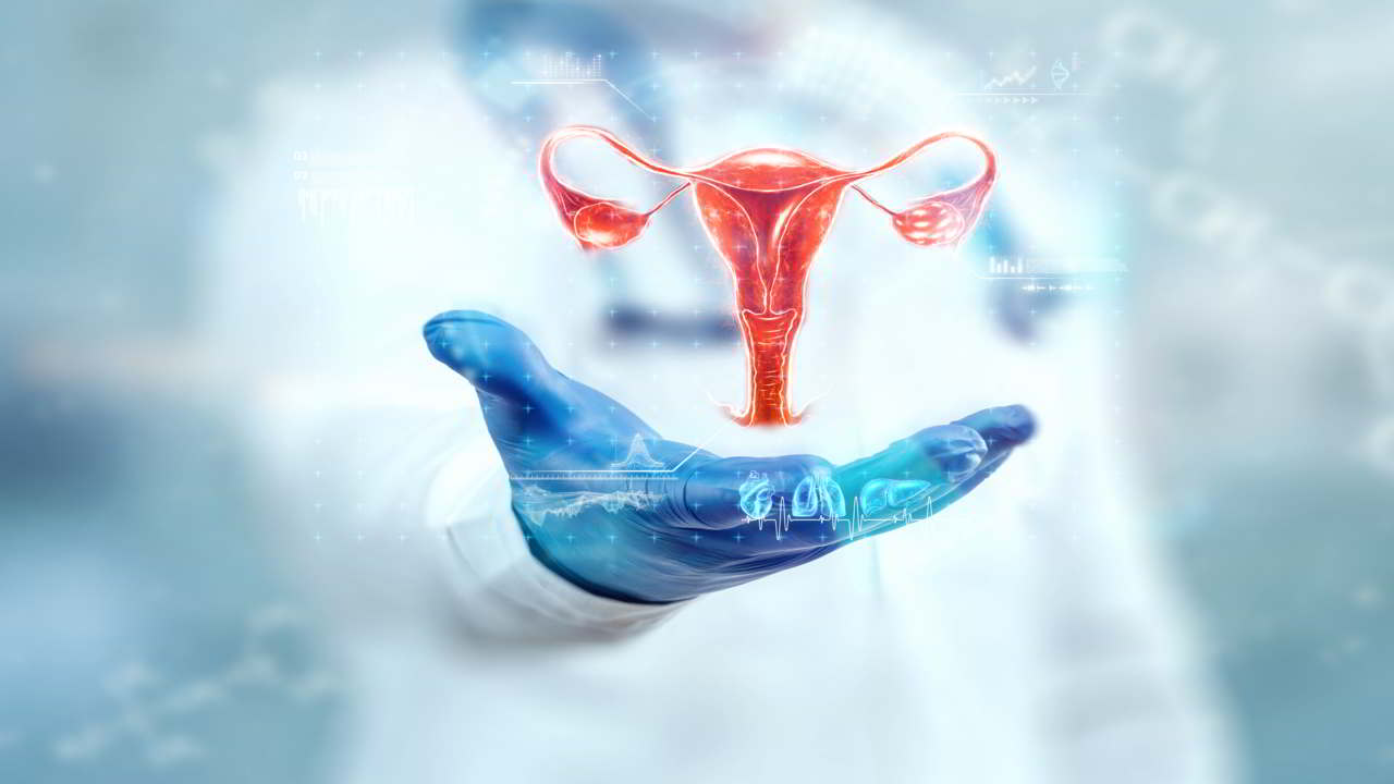 gynecology-urogynecology