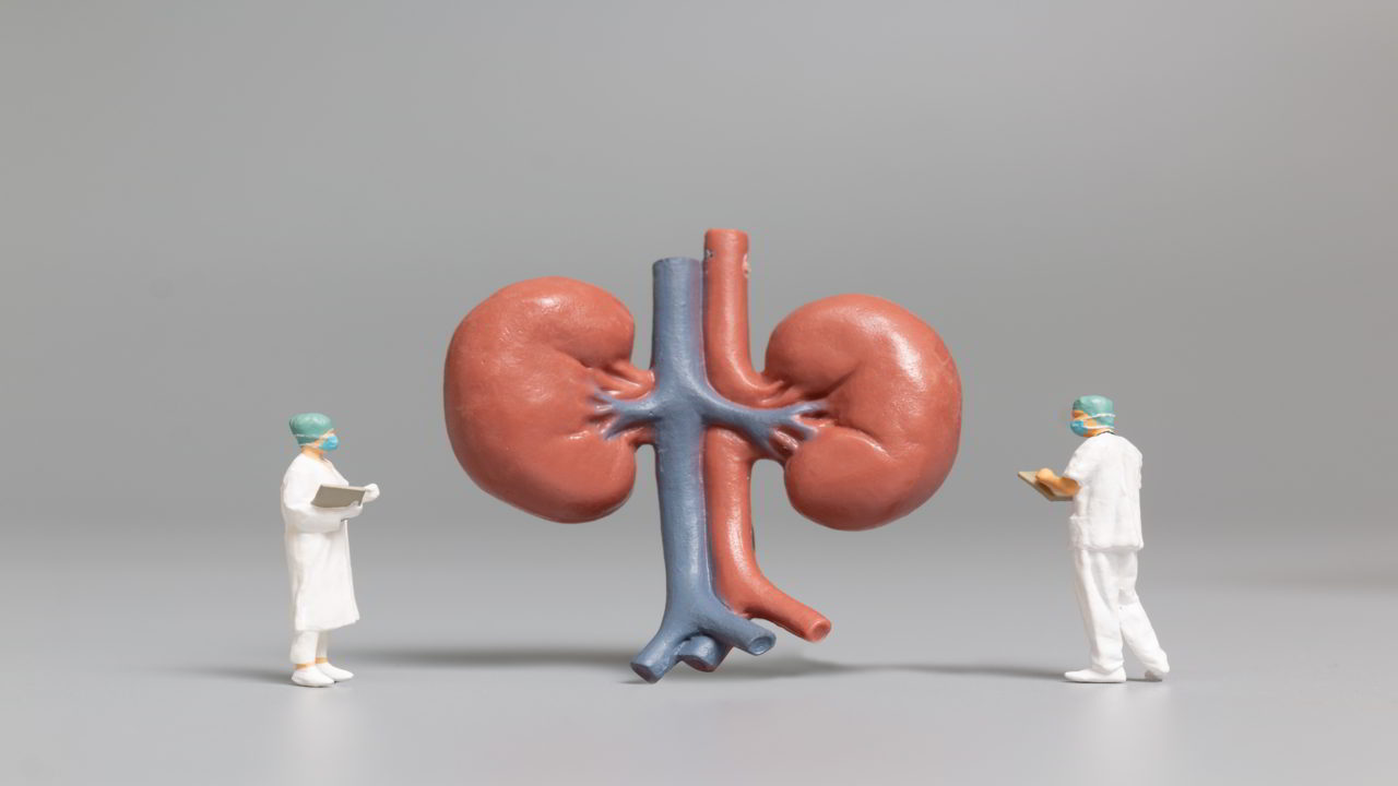 Kidney Stone - Causes, Symptoms, Treatment | ONP Hospitals